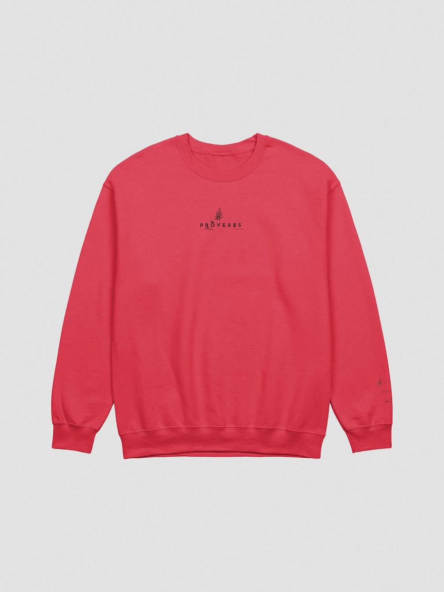 Proverbs Wisdom Embroidered Sweatshirt product image (22)
