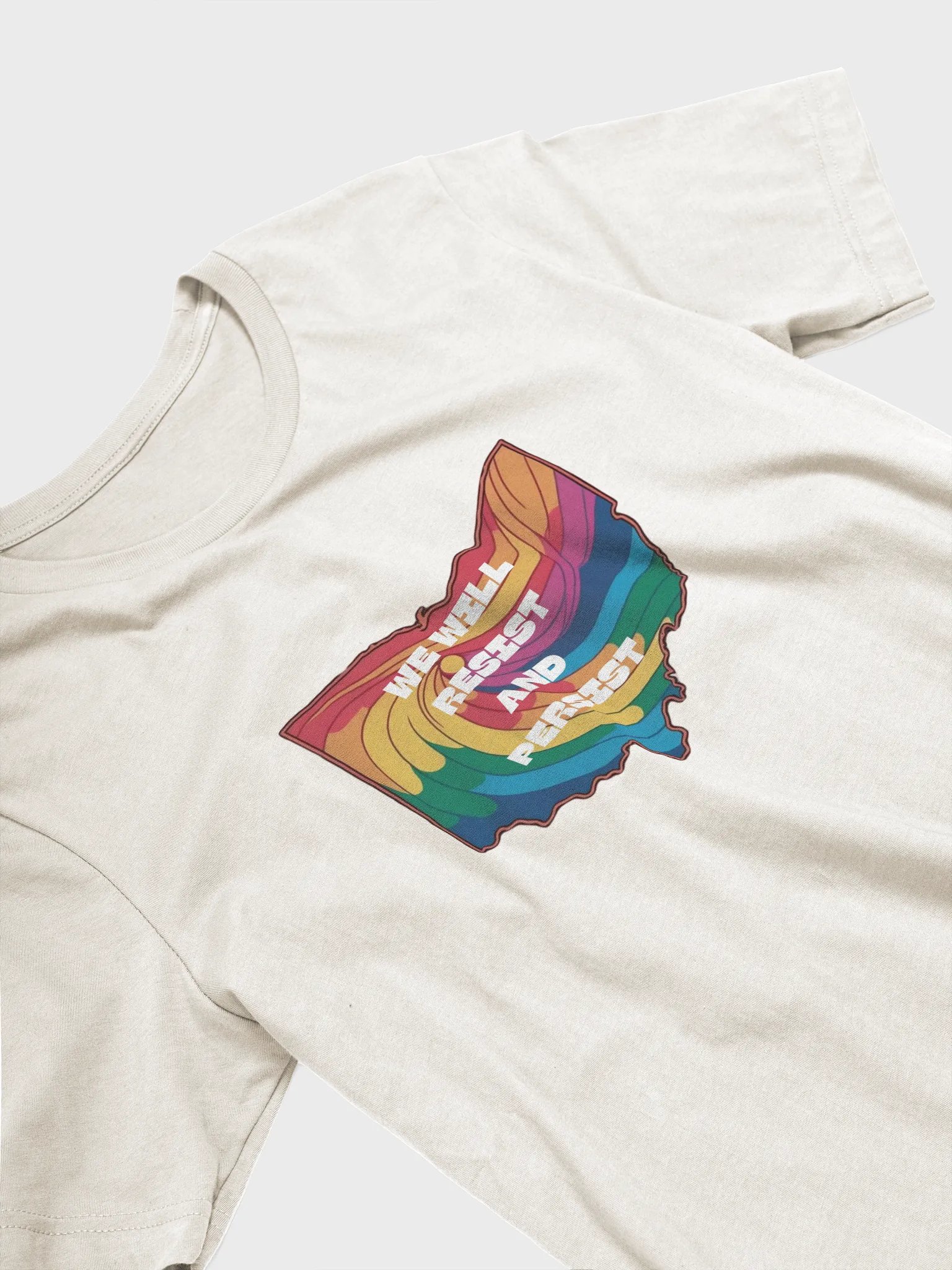 We Will Resist and Persist Tee product image (24)