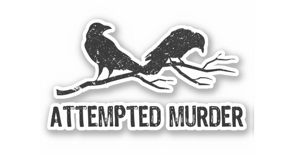 Attempted Murder Two Crows Funny Bird Pun Meme image