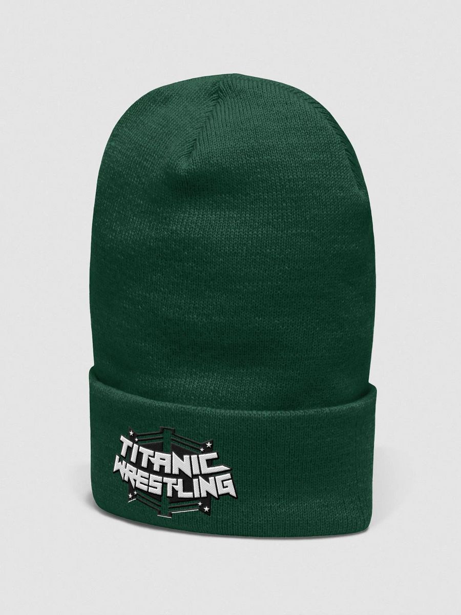 Titanic Logo Beanie - GREEN product image (2)
