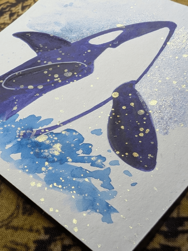 Orca Splash product image (2)