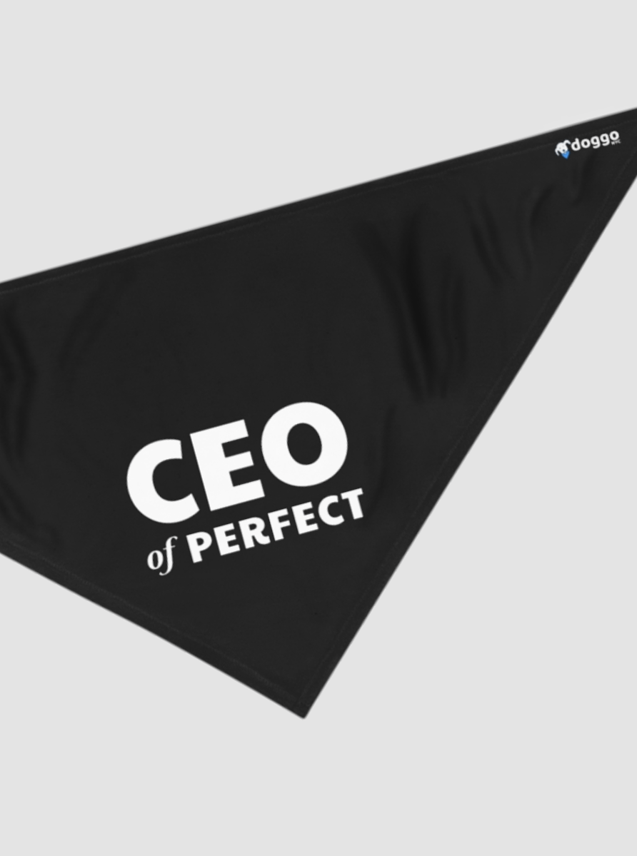 CEO Of Perfect product image (1)