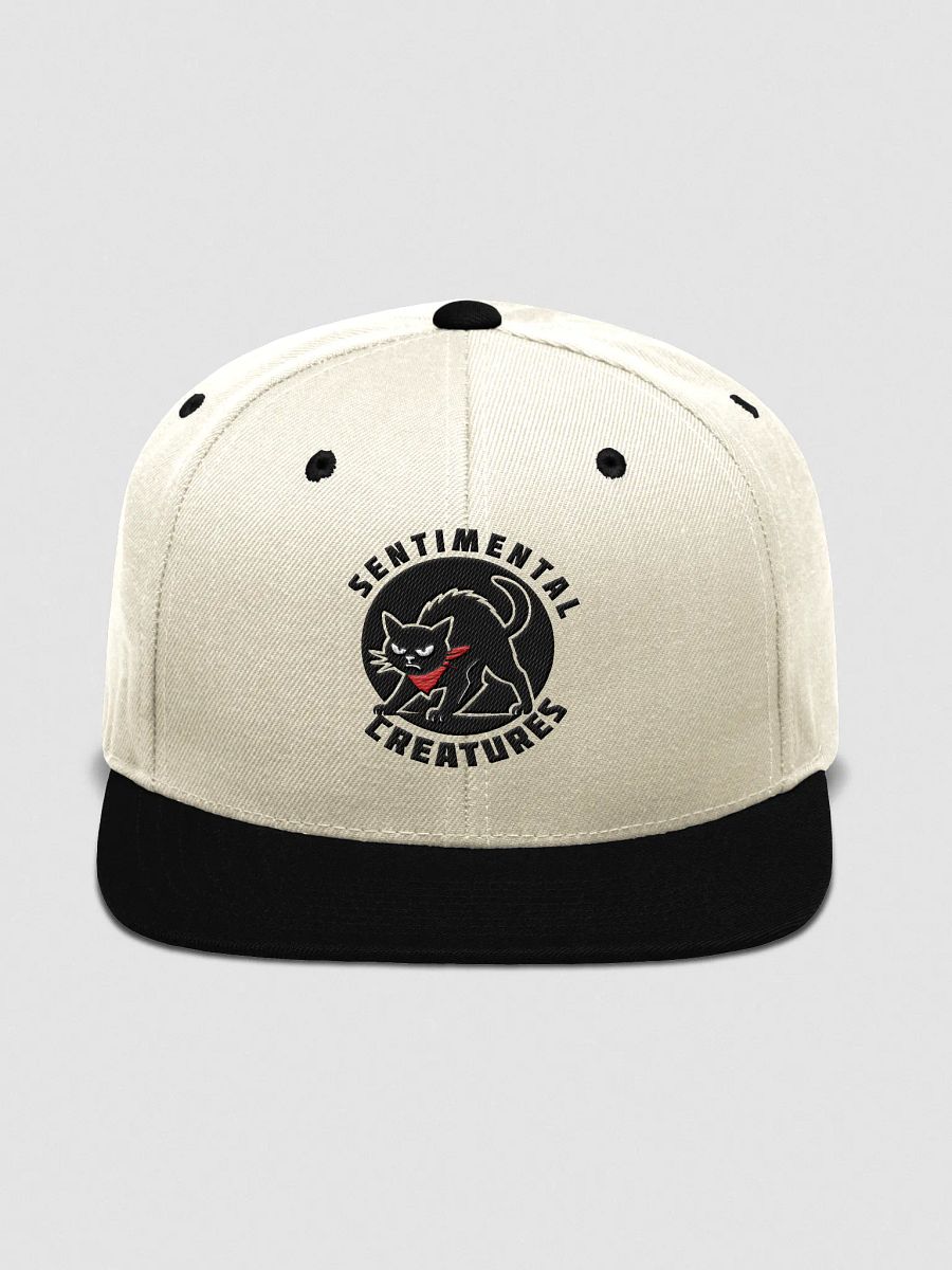 Embroidered Bandana Cat Logo Snapback product image (5)