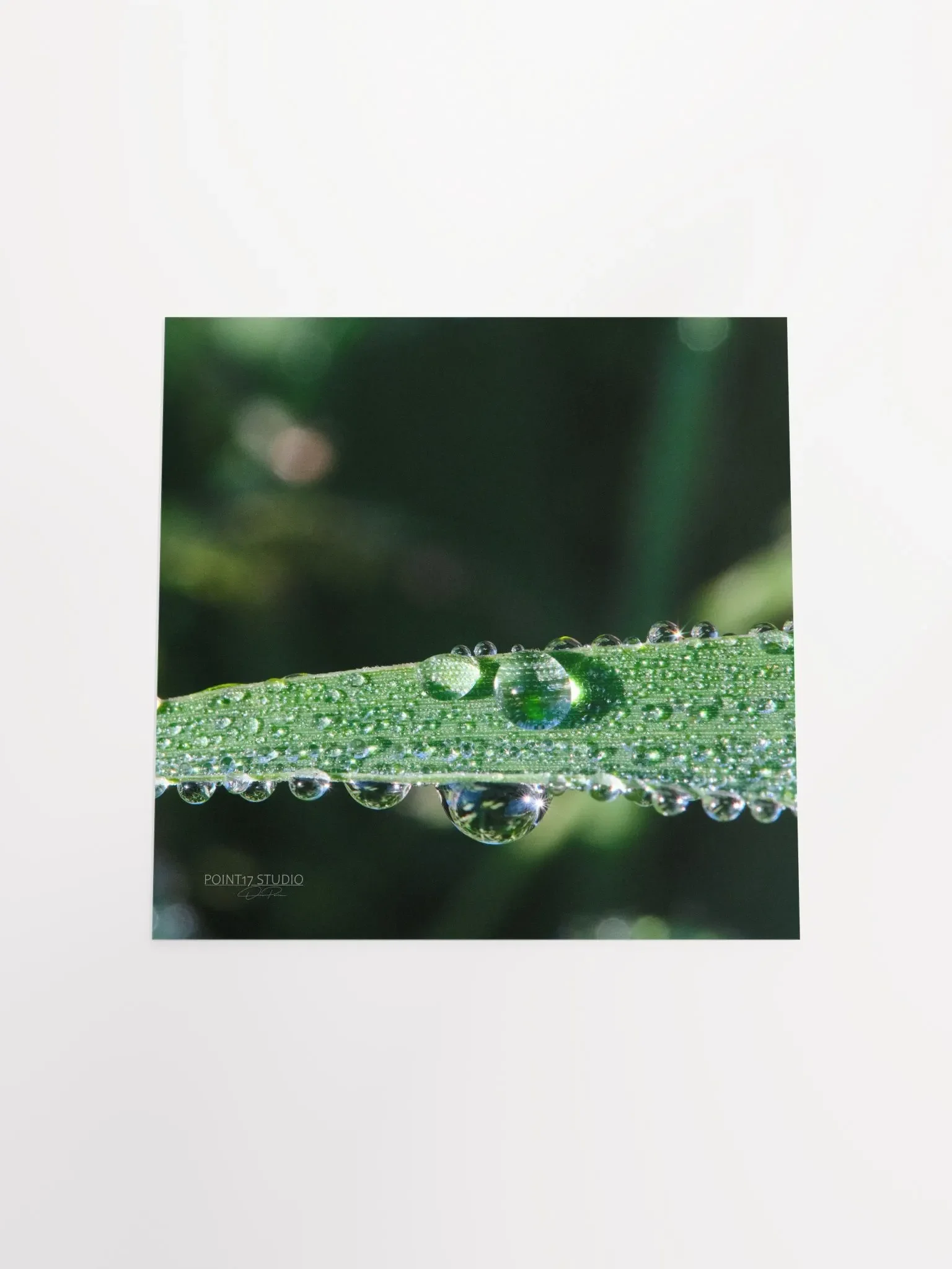 Dew Gems #2 - Print product image (10)