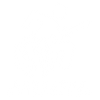 Dungeons and Disableds Store