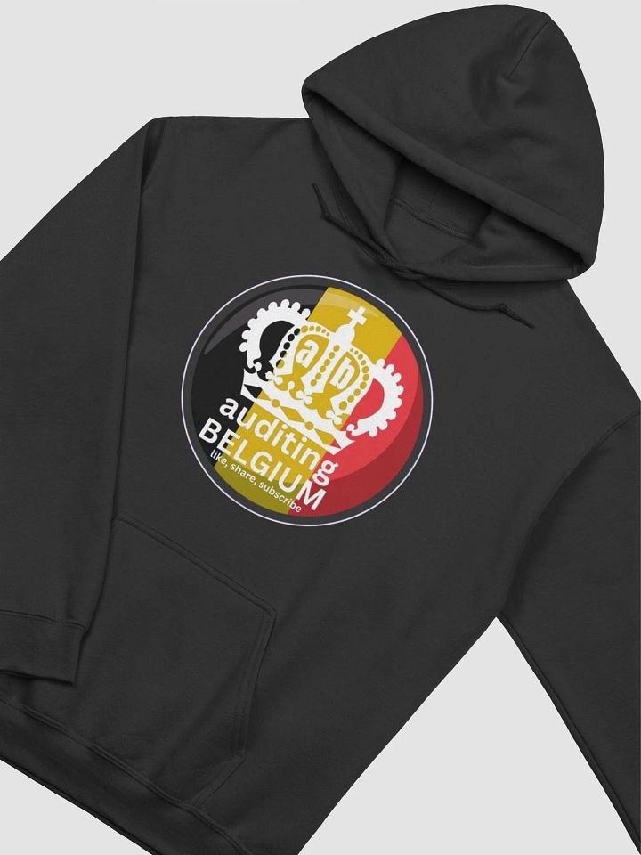 AUDITING BELGIUM product image (14)