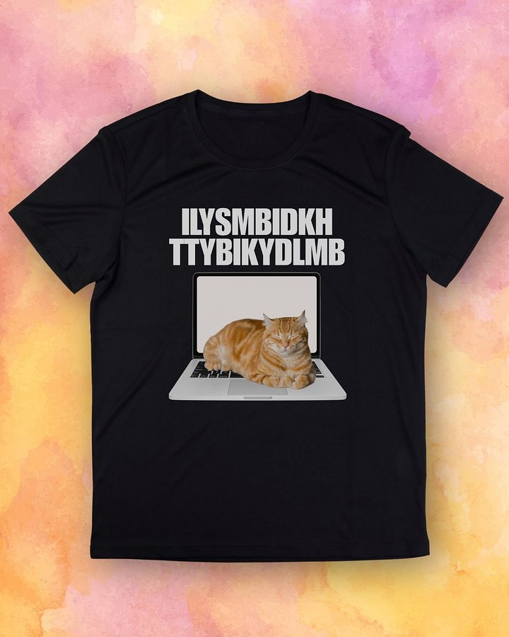 Cat Sleeping on Laptop ILYSMBIDKHTTYBIKYDLMB T-Shirt product image (1)