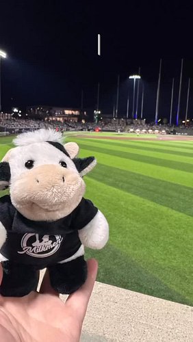 Meet Moobert 😍 Enjoying a little Family outing at the @mkemilkmen, also mad love to Bo Vine ❤️ 

#family #mkemilkmen #mkemilk...