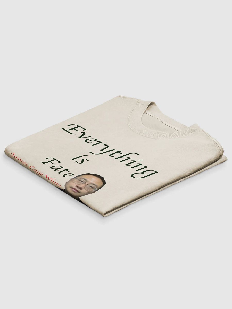 AS Colour Premium Oversized Faded T-Shirt: fate product image (13)