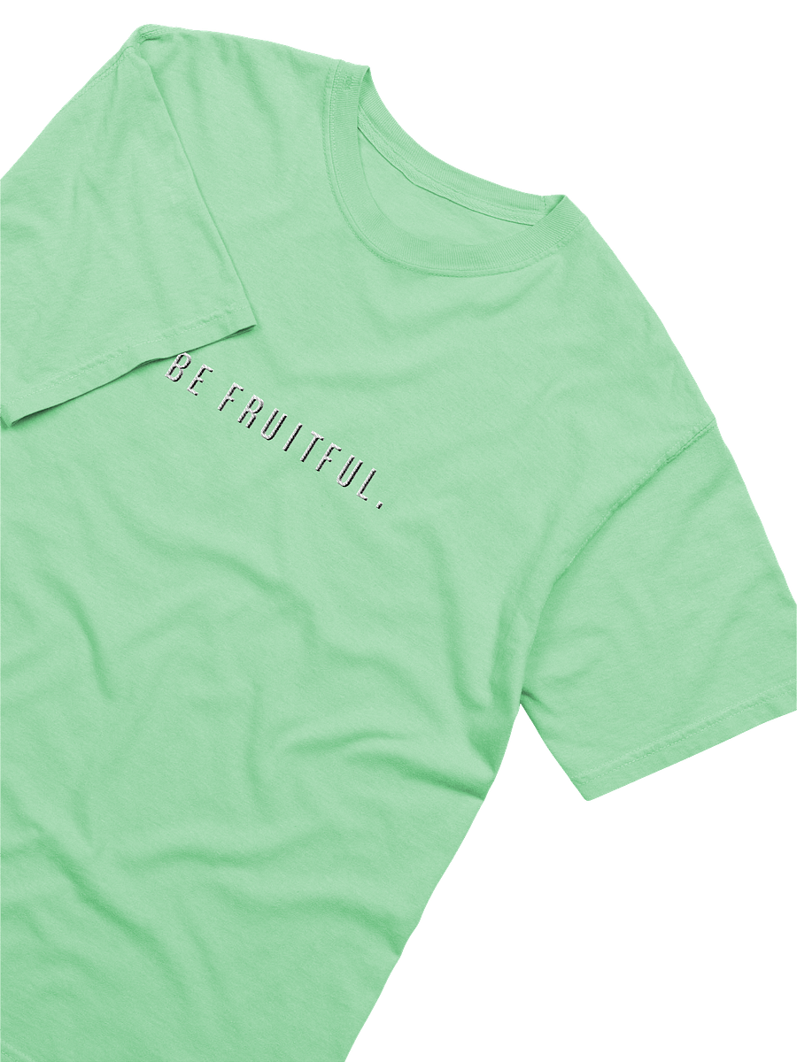 Be Fruitful Embroidered Colored Shirt product image (4)