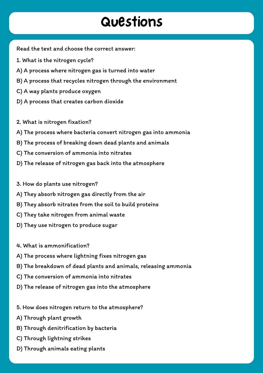 Nitrogen Cycle Reading Comprehension Passage & Questions product image (2)