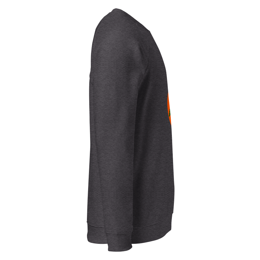 Sunrise Tree Organic Raglan Sweatshirt product image (4)