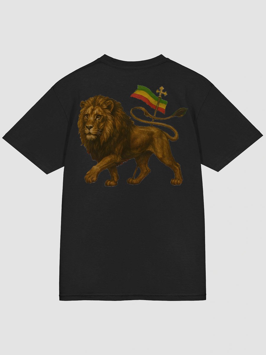 IILion Shirt (div. colours) product image (2)