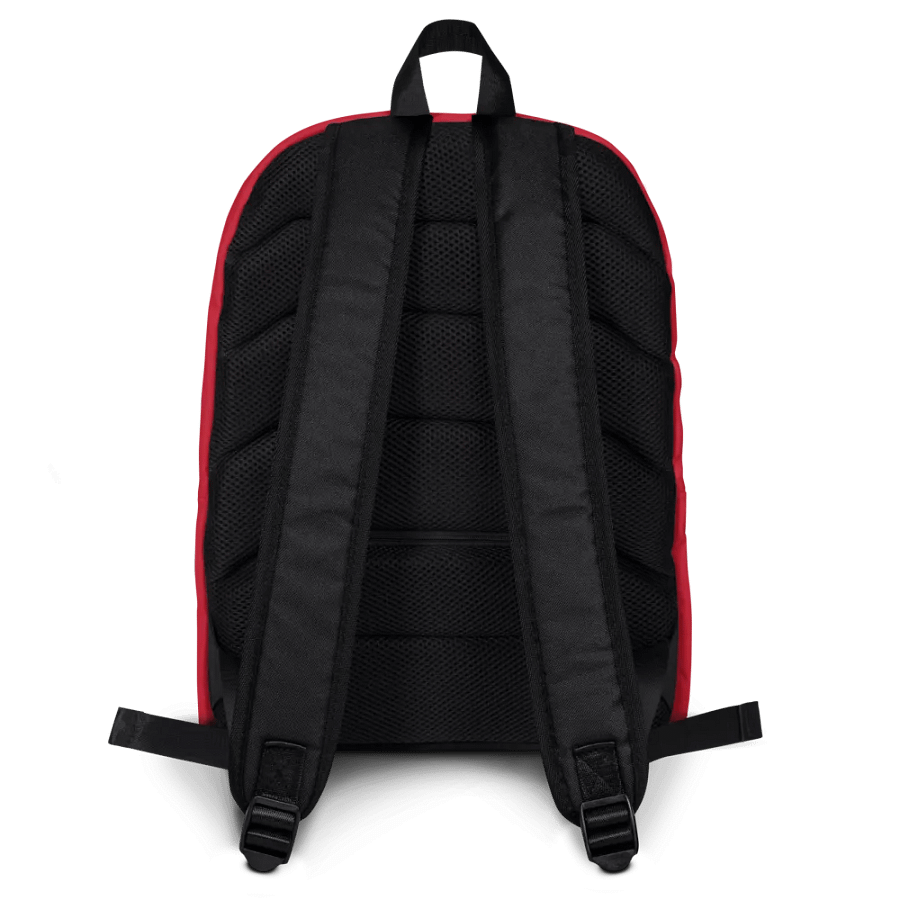New England Central Airways - Backpack product image (4)