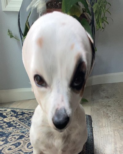 He has come to spread the wisdom of his home world