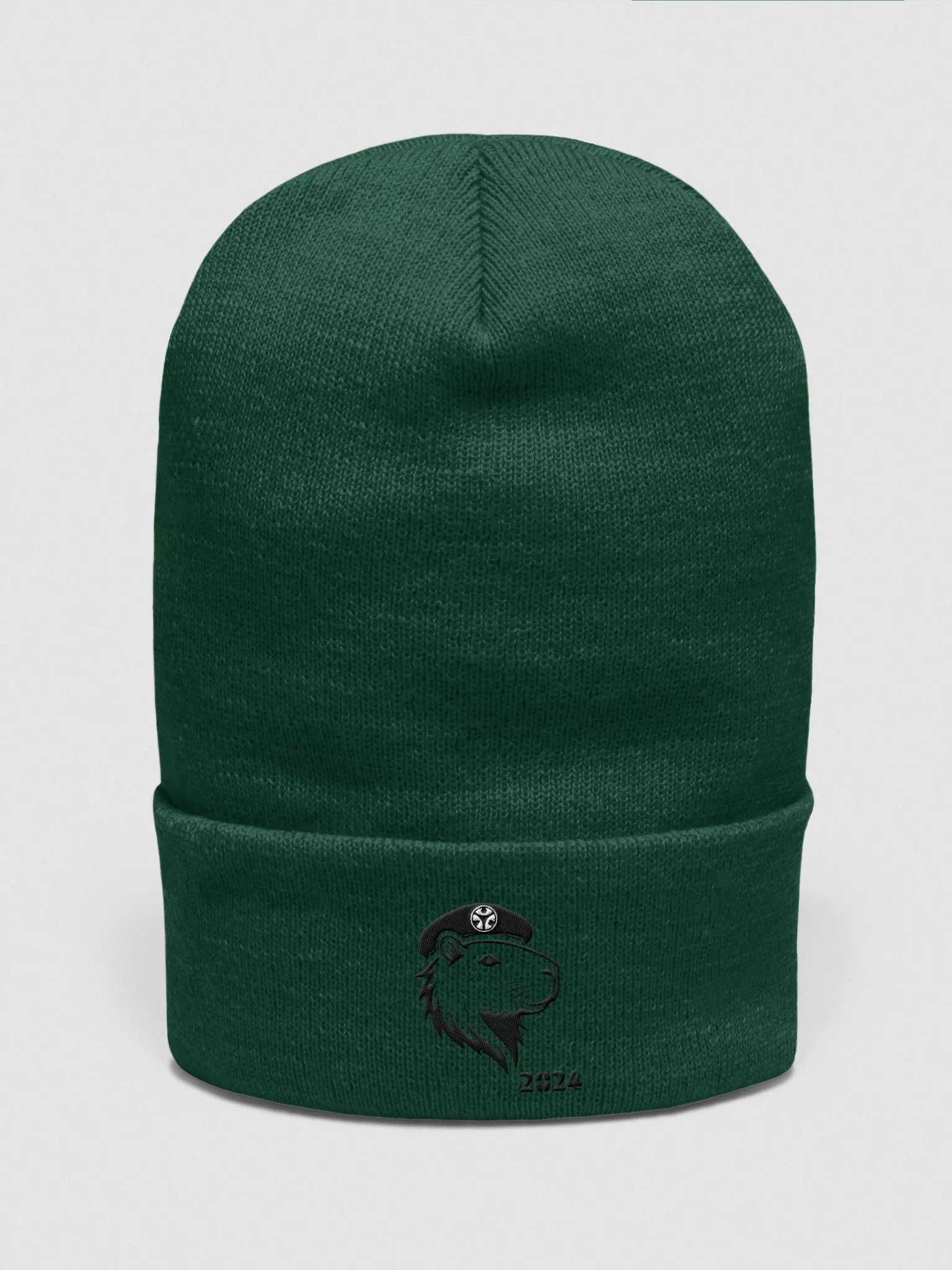 PoKa Classic Beanie - 2024 product image (1)