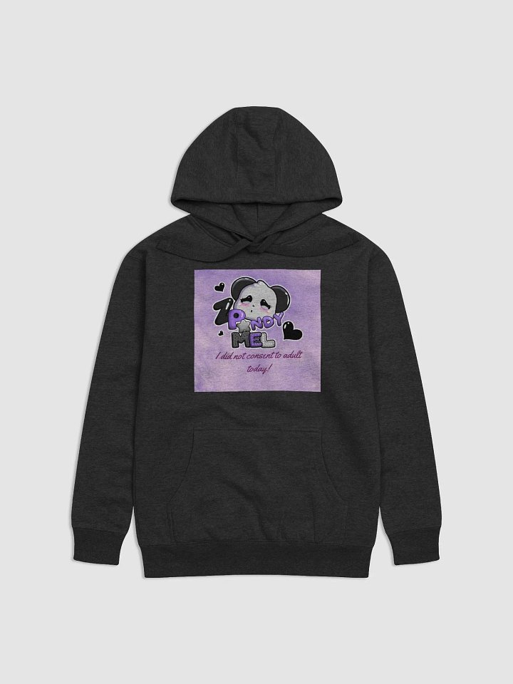 Hoodie product image (1)