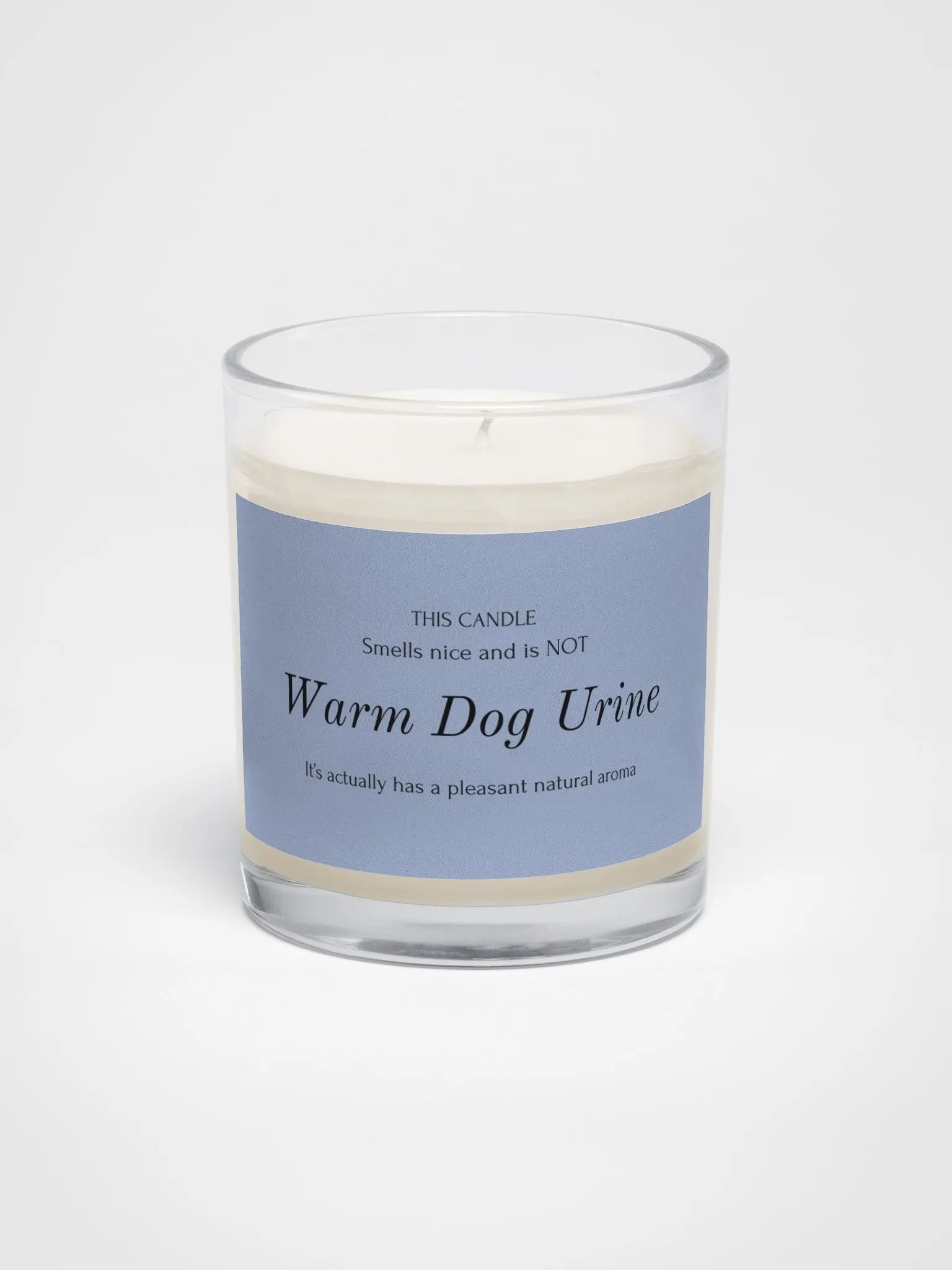 Veterinary humor candle "Warm Dog Urine" product image (1)