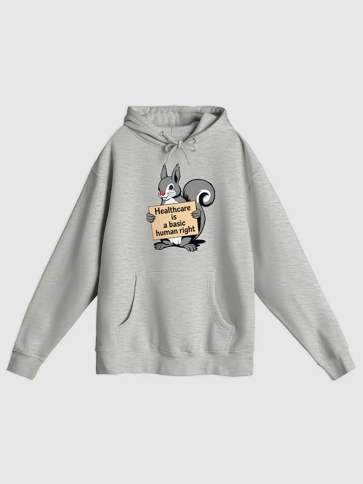 Premium, super soft Hoodie: Healthcare is a basic human right, Pooky with Sign product image (1)