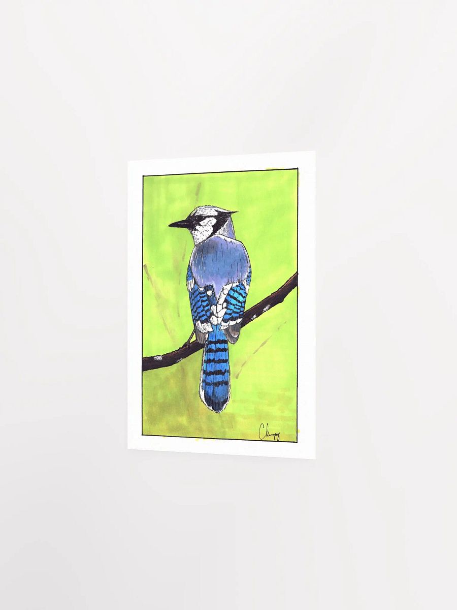 Blue Jay Print product image (2)