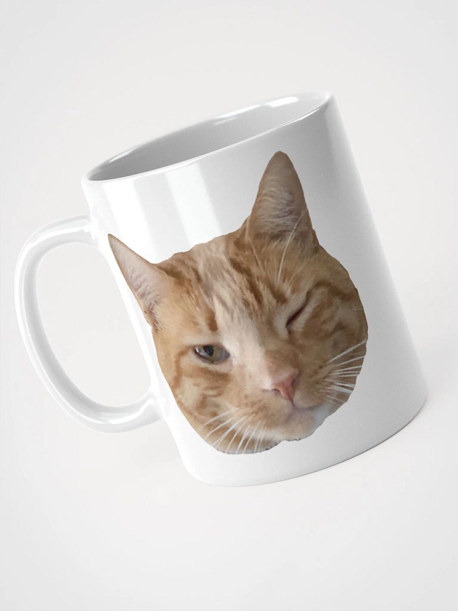 The Duality of Cat product image (3)