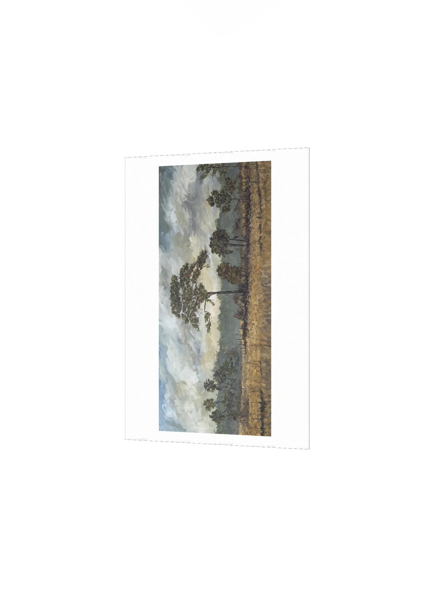 Big Cypress National Preserve Print product image (2)