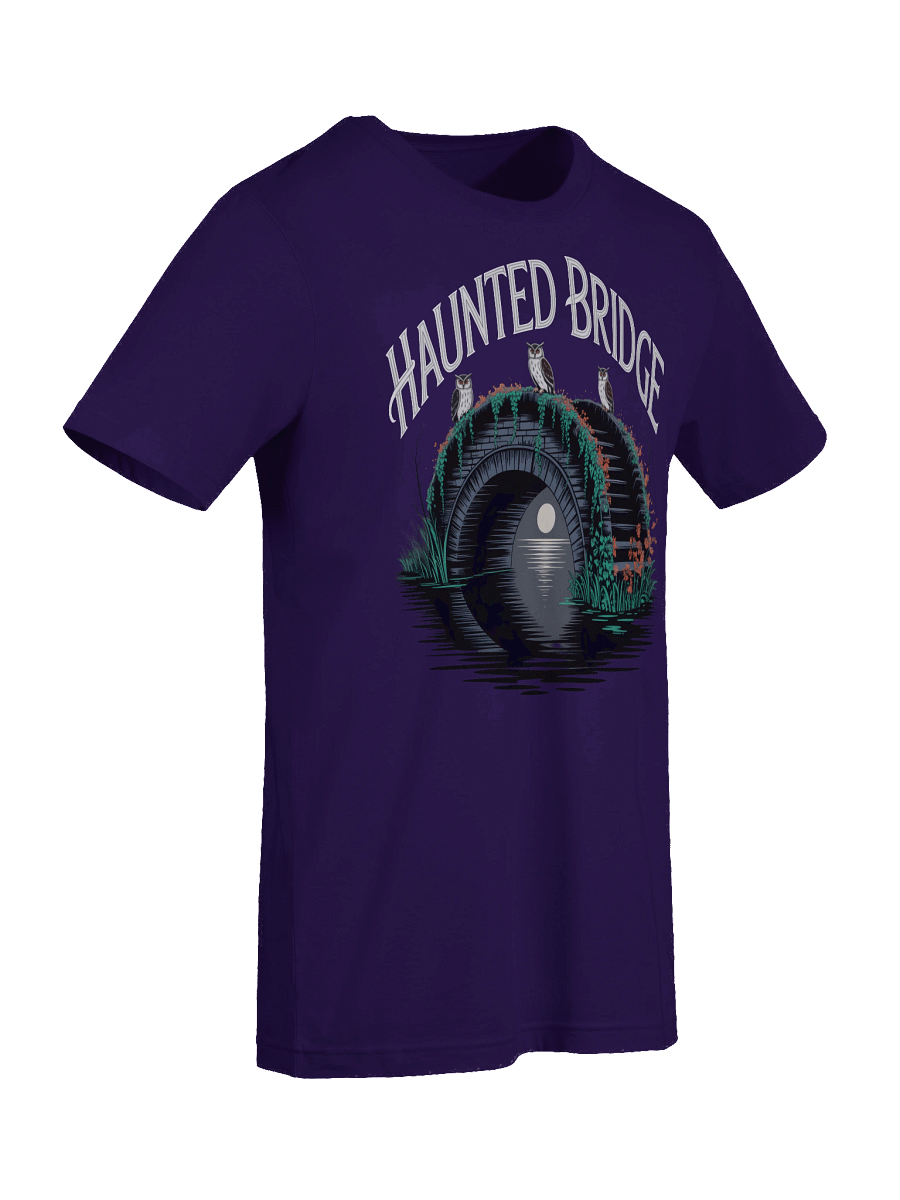 Mystical Haunted Bridge T-Shirt product image (36)