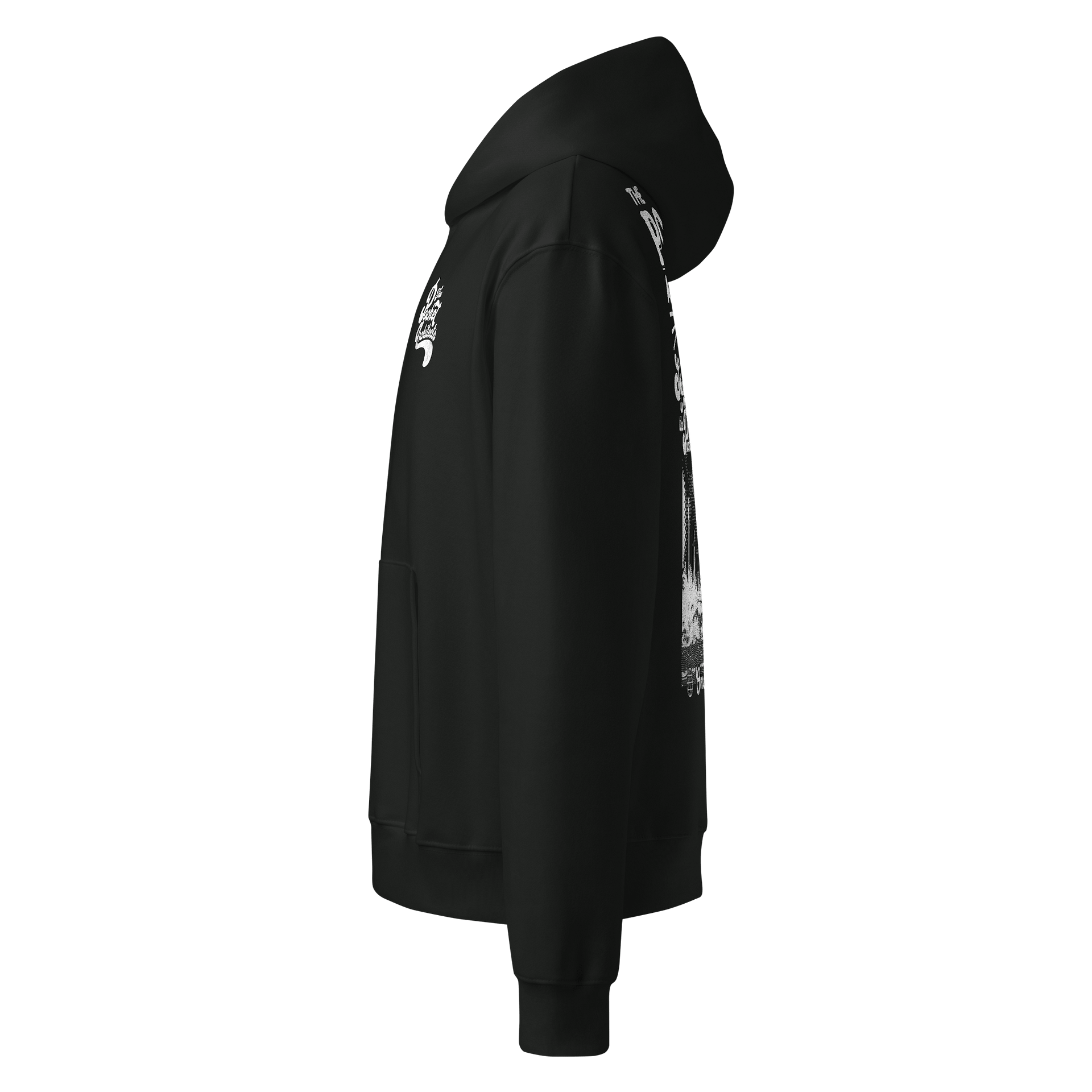 Cactus Hoodie product image (5)