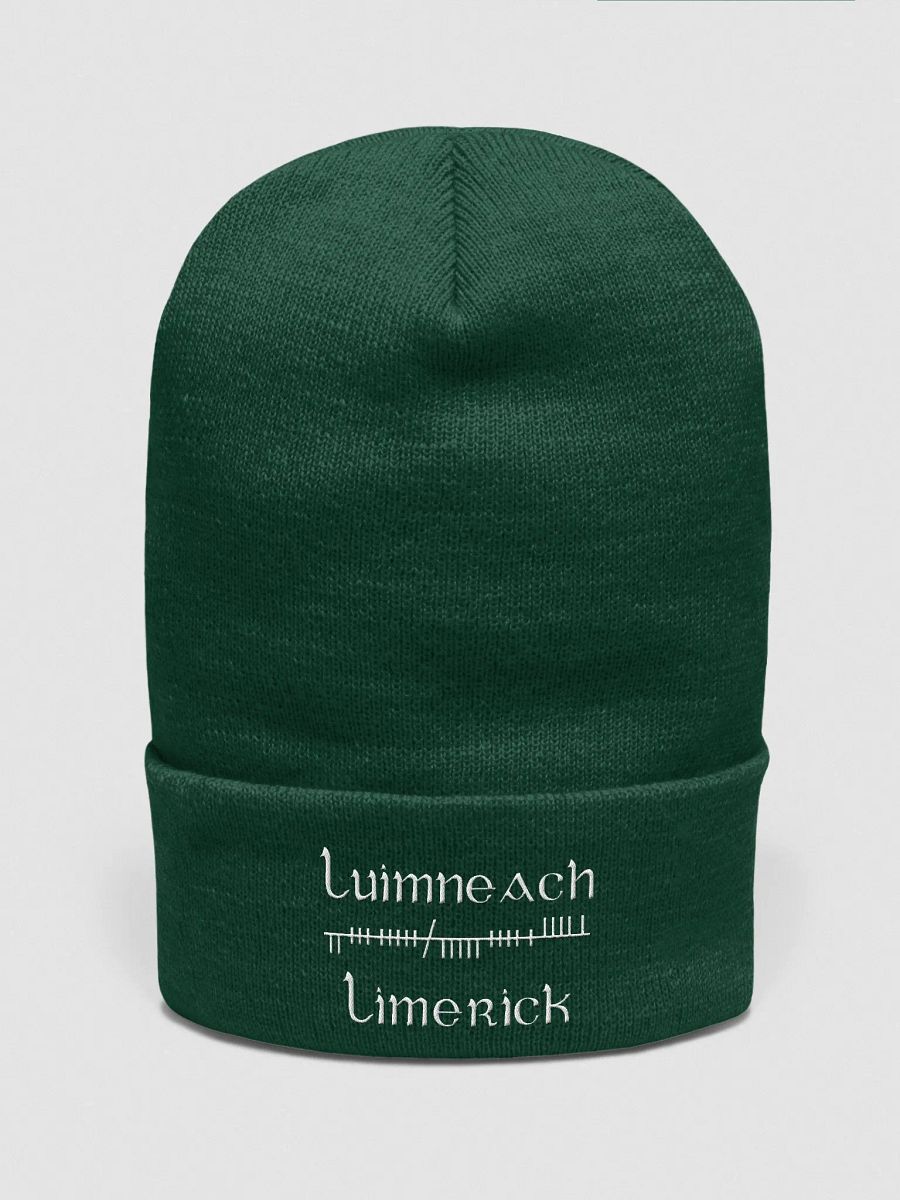 Limerick/Luimneach Orthodox Ogham, green with white, embroidered Cuffed Beanie product image (1)