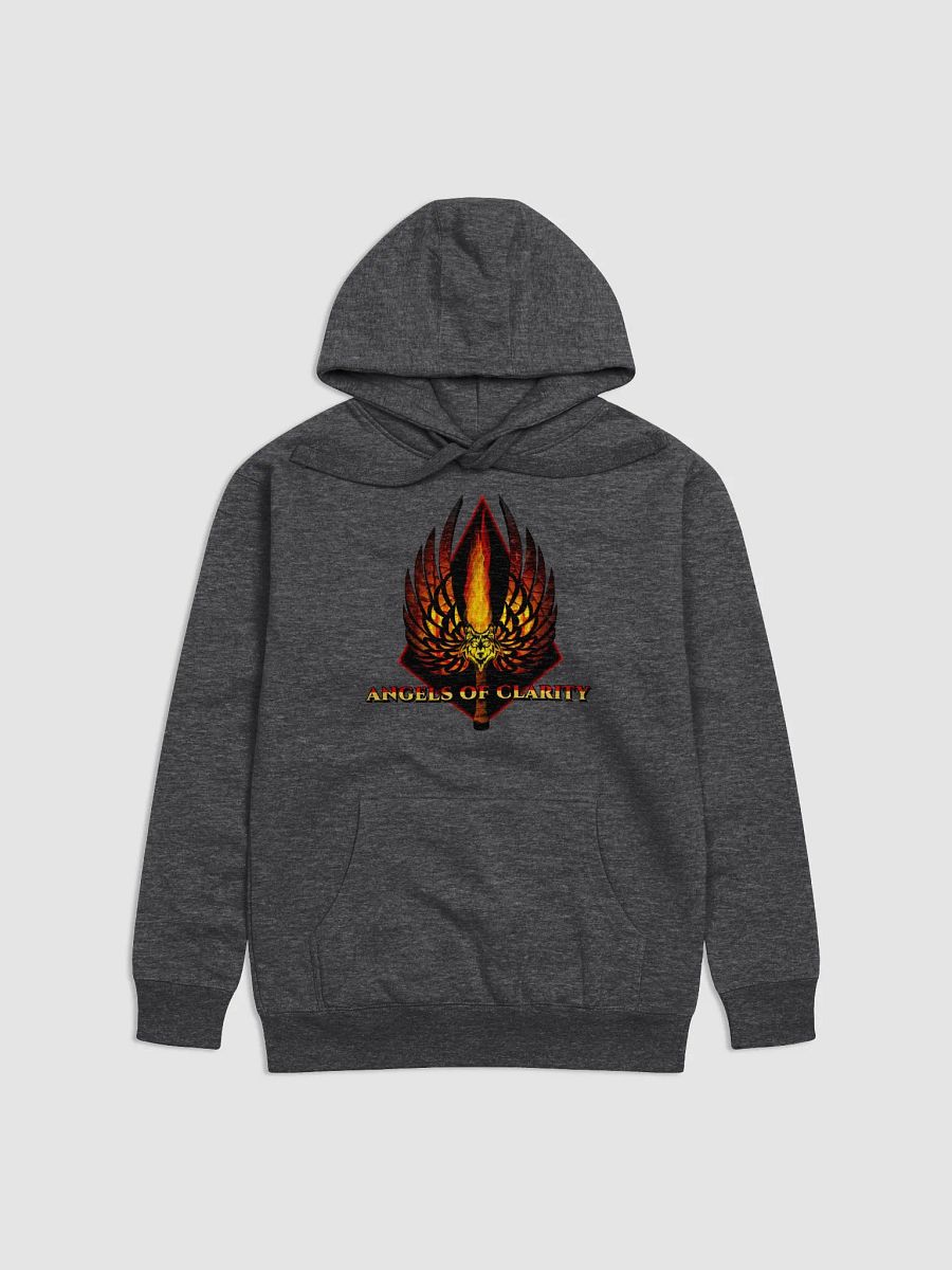 AOC LOGO HOODIE product image (5)