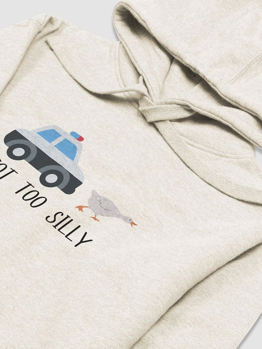 Silly Goose Hoodie product image (3)