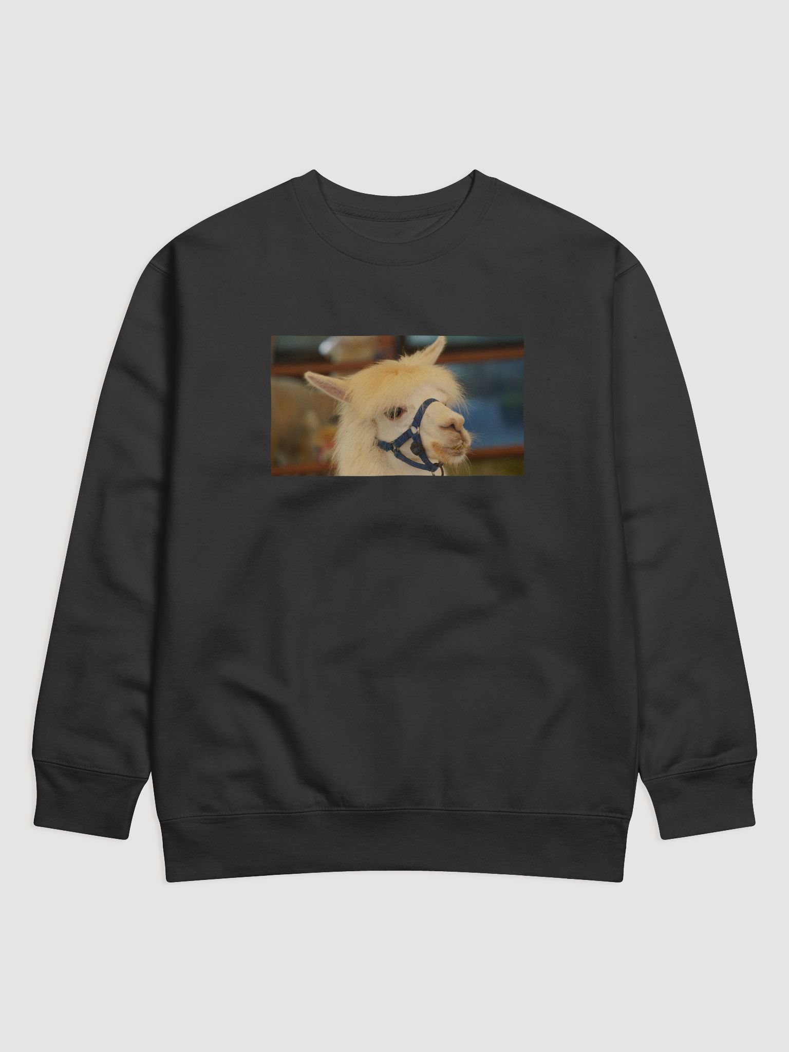 Llama Love Premium Sweatshirt product image (1)