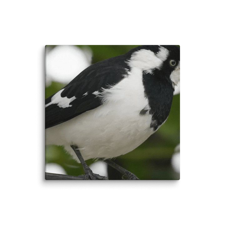 Bird Canvas product image (1)