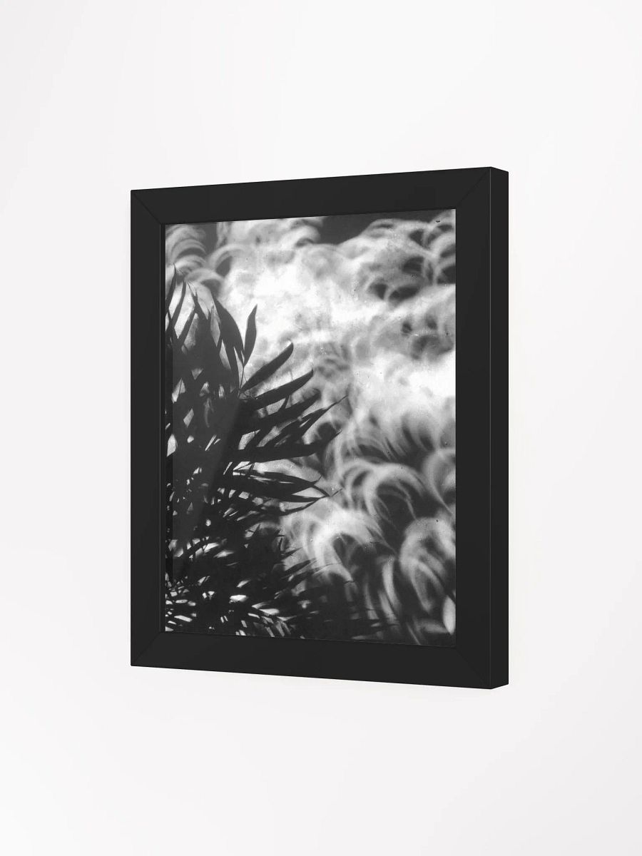 Crescents of Light from the Eclipse - Print 1 - Framed Poster product image (3)