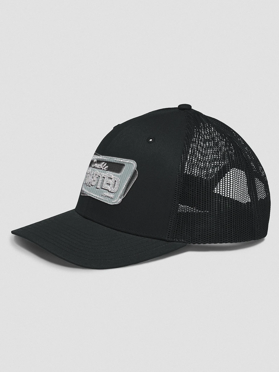 DT Snapback Logo Hat product image (2)