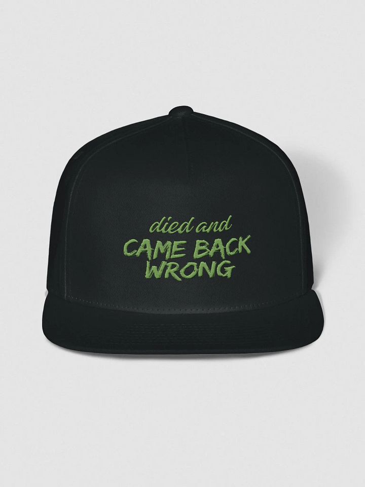 Died and Came Back Wrong Snapback product image (1)