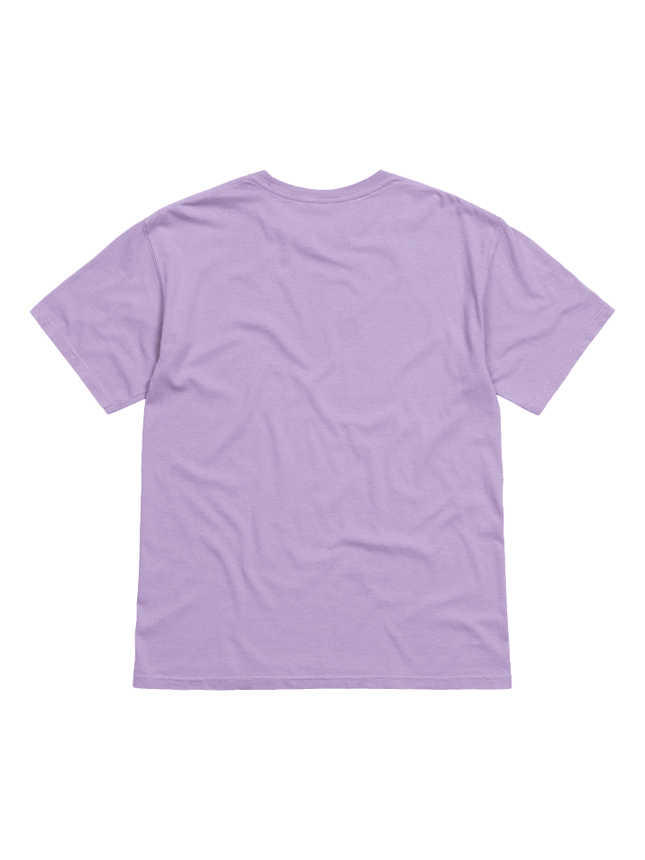 Gaymer Shirt (Alt) product image (24)