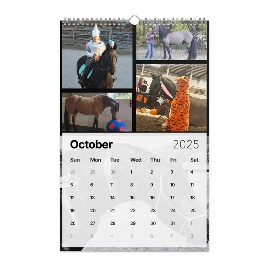 2025 Moriesian Horse Registry Calendar product image (25)