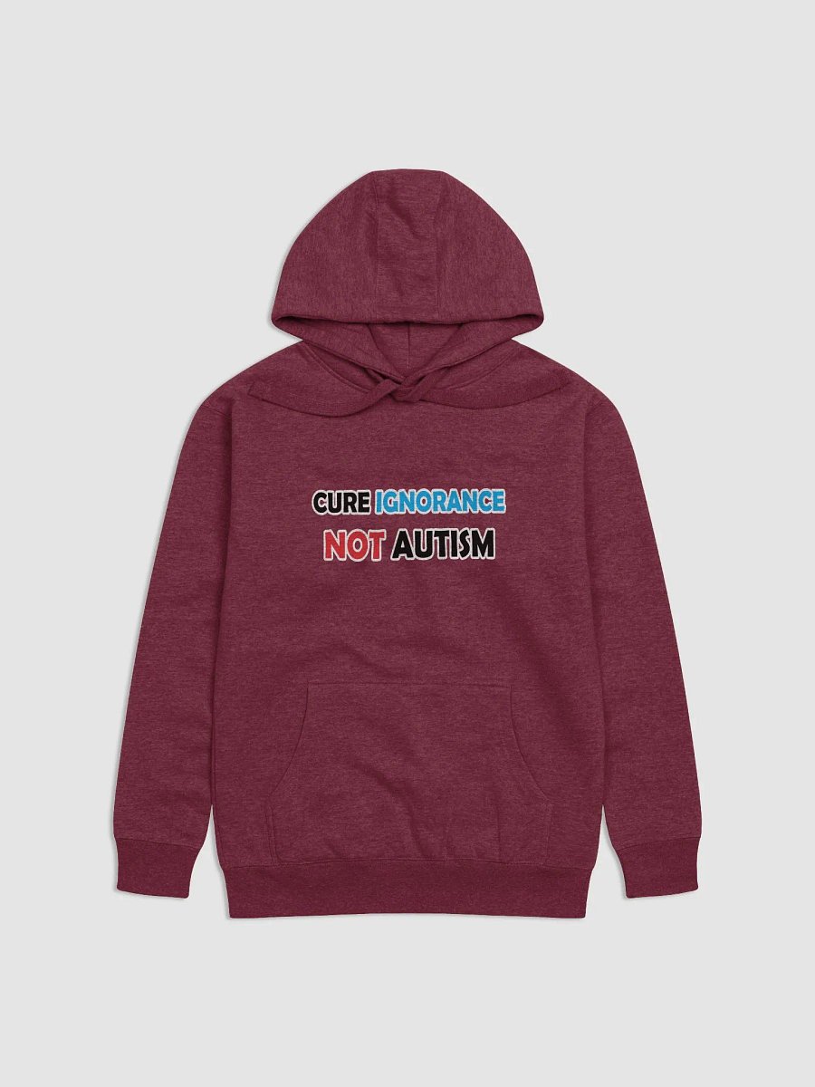 Cure Ignorance Not Autism Hoodie product image (2)