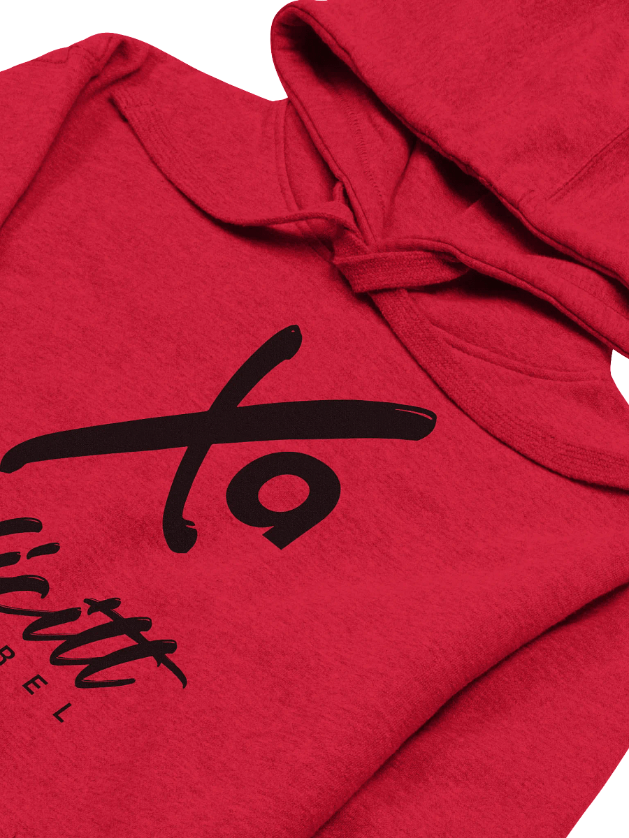 Xxplicitt Logo Hoodie product image (9)