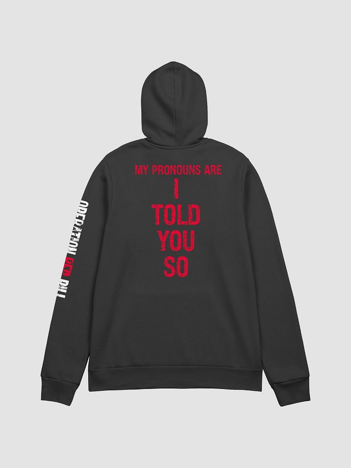 Conspiracy Pronouns Hoodie product image (2)