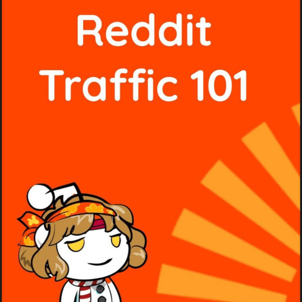 Reddit Traffic 101 product image (1)