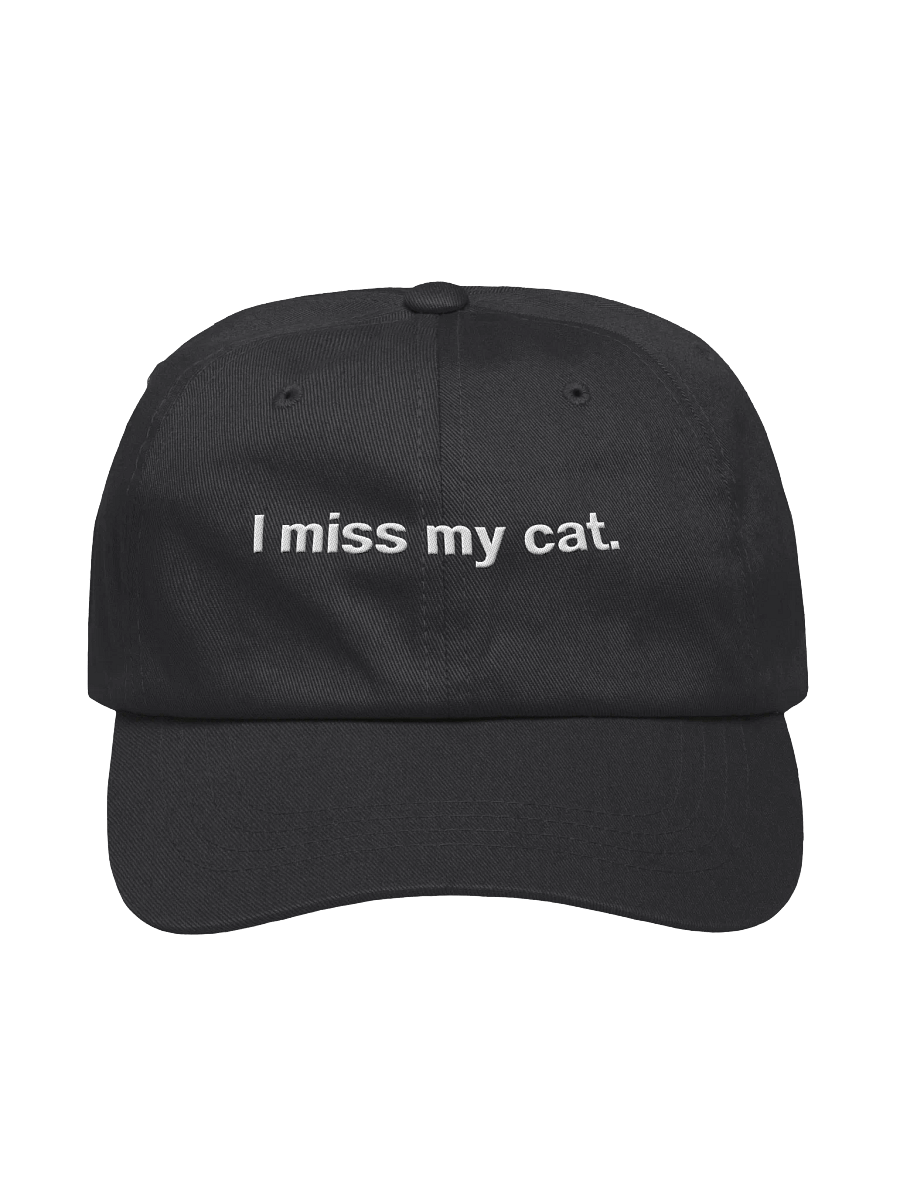 I miss my cat. Embroidered Hat product image (1)