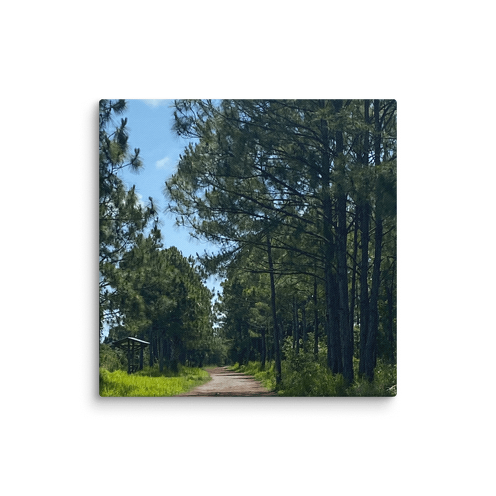 Wanderlust Canvas Collection product image (1)