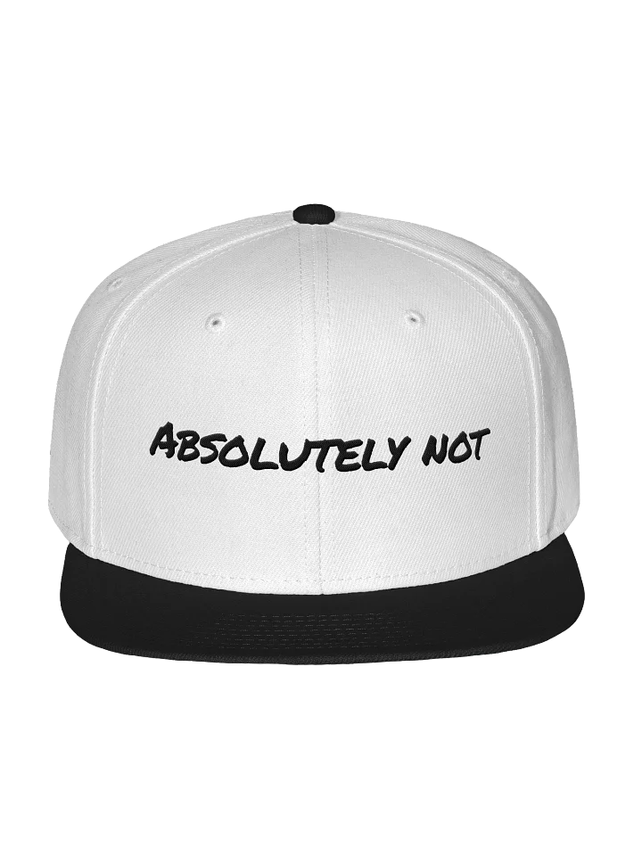 Absolutely Not Snapback product image (3)