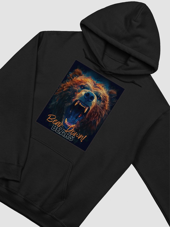 Bears - Bear Down! product image (2)