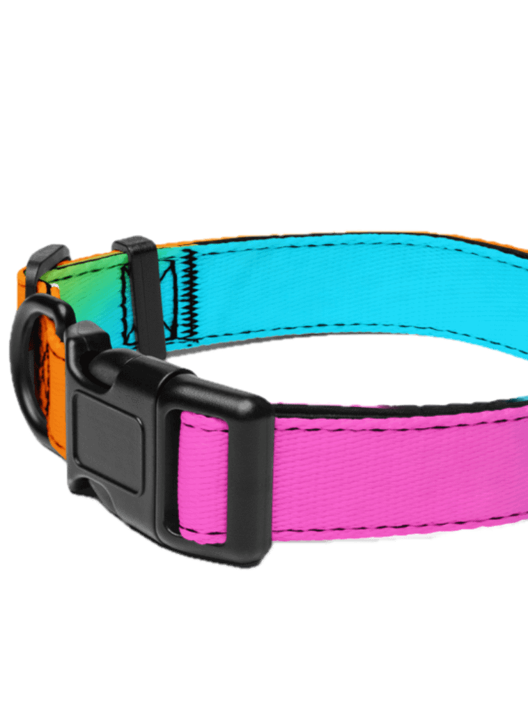 EIFFEL PARIS • PET COLLAR 3 SIZES product image (5)