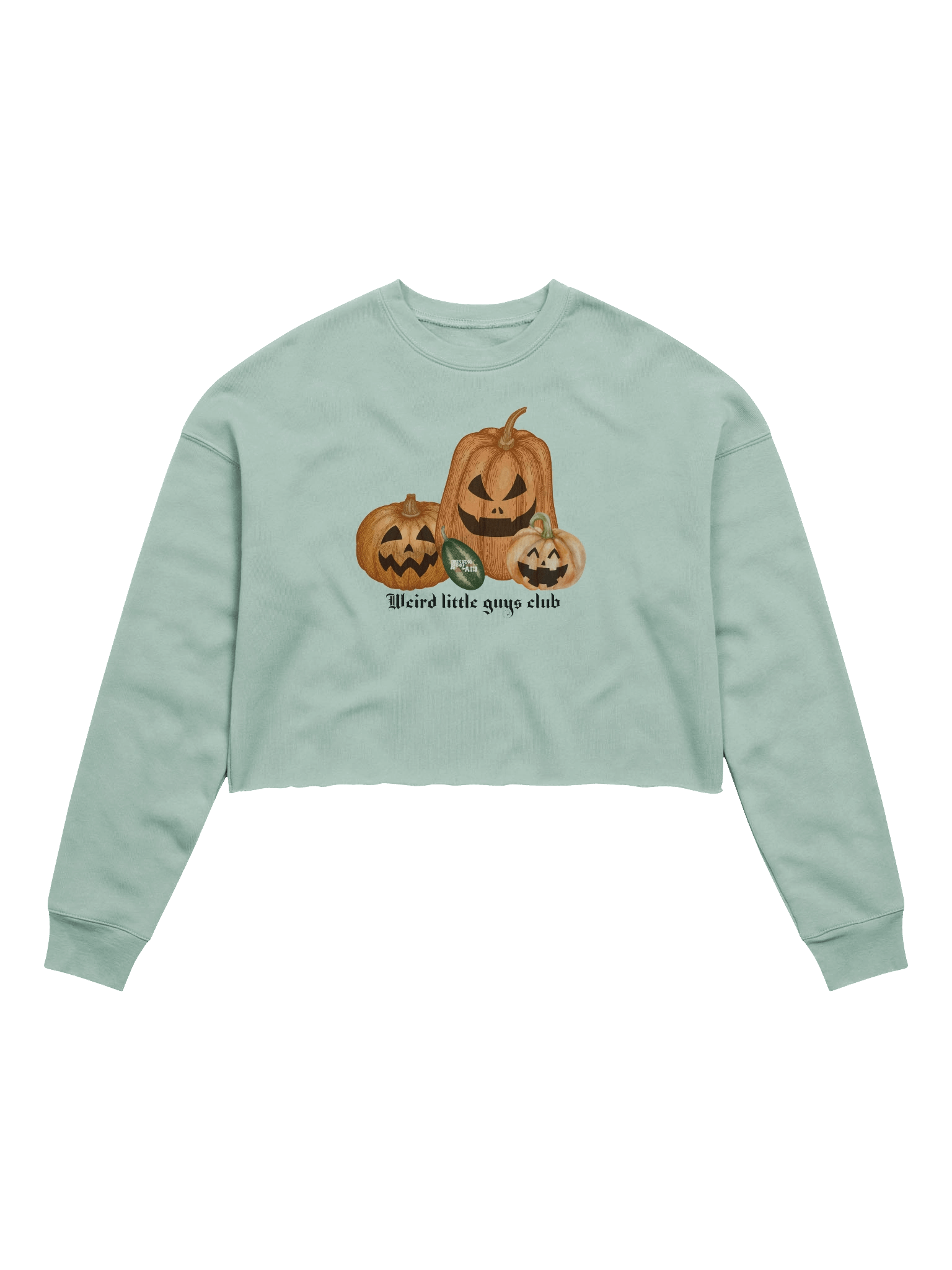 Halloween Collection: Crop Sweatshirt product image (13)
