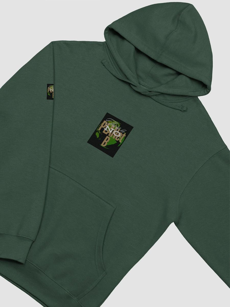 There is No PLANet B Midweight Hoodie – Wear the Message, Save the Earth product image (26)