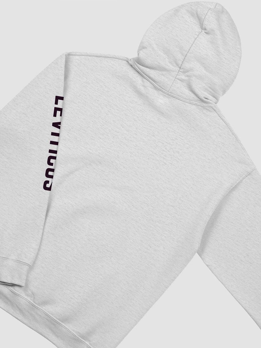 Scripture Couture: Leviticus Hoodie (Light Pallet Series) product image (2)